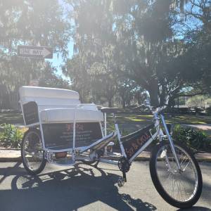Scenic Pedicab Rides in Savannah